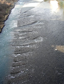 rivers in the river.jpg